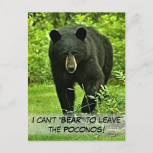 Cartão Postal Urso Negro do Quintal "Não aguento sair!"