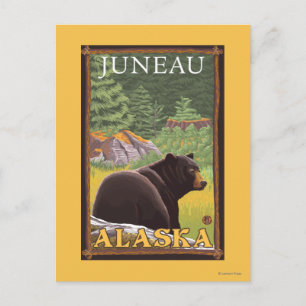 Cartão Postal Urso Negro na Floresta - Juneau, Alasca