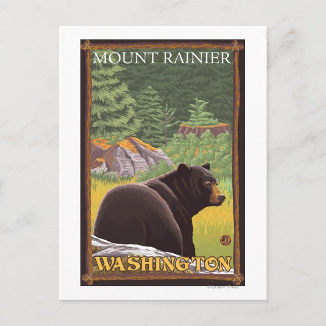 Cartão Postal Urso Negro na Floresta - Monte Rainier, Washington (Frente)
