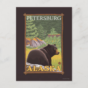 Cartão Postal Urso Negro na Floresta - Petersburg, Alasca