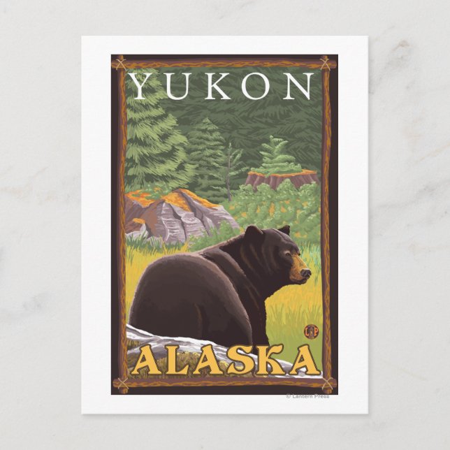 Cartão Postal Urso Negro na Floresta - Yukon, Alasca (Frente)