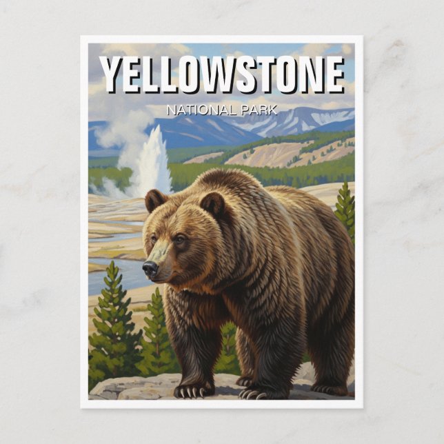 Cartão Postal Urso no Parque Nacional de Yellowstone Souvenir (Frente)