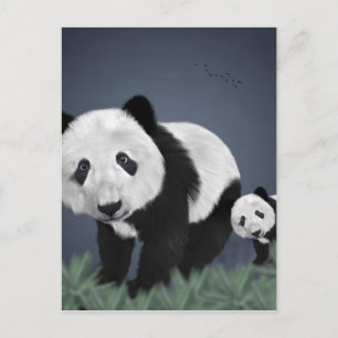 Cartão Postal urso panda animal fofo macio preto branco doce