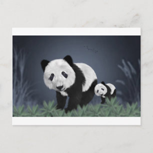 Cartão Postal urso panda animal fofo macio preto branco doce