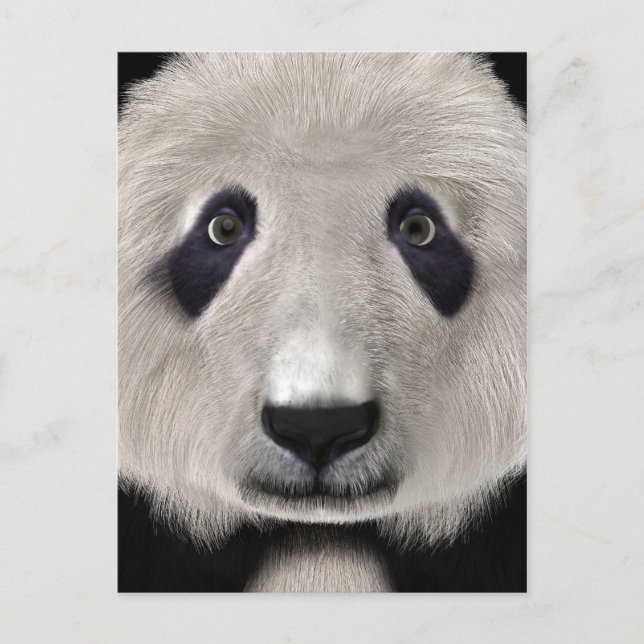Cartão Postal Urso Panda Fofo Presente Perfeito para Amantes de  (Frente)