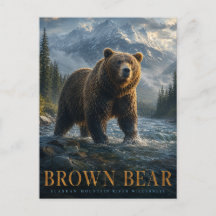 Urso Pardo Rio Alaskano ANIMAIS