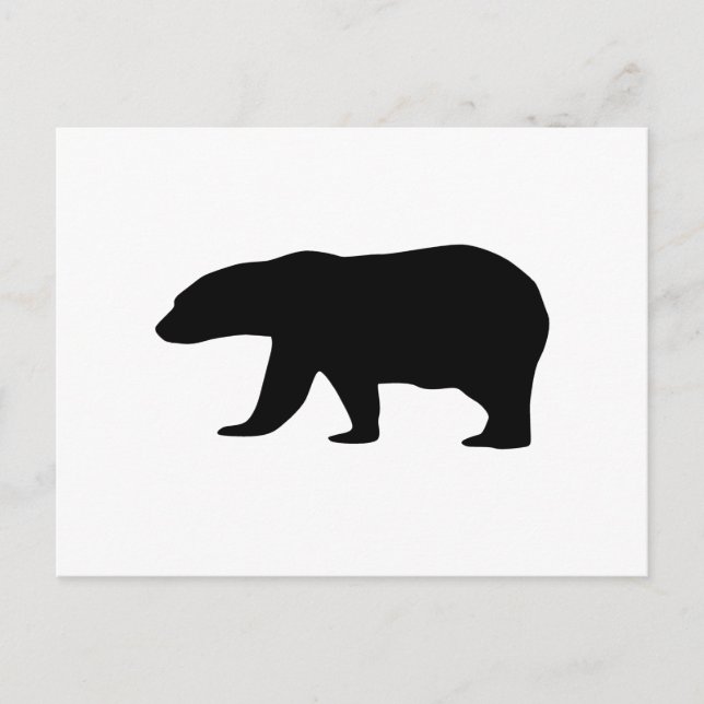 Cartão Postal Urso Polar (Frente)