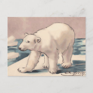 Cartão Postal Urso Polar