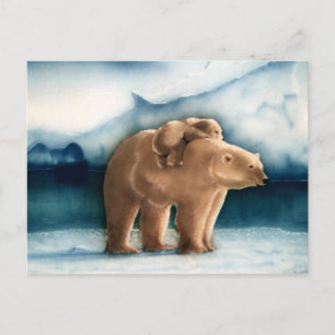 Cartão Postal Urso Polar