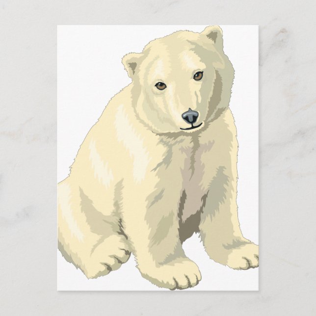 Cartão Postal Urso Polar do fofinho (Frente)