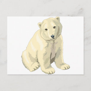 Cartão Postal Urso Polar do fofinho