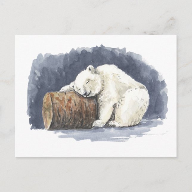 Cartão Postal Urso polar dormindo, arte aquarela (Frente)