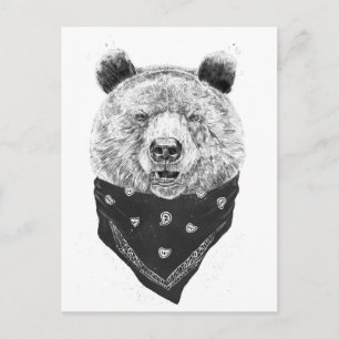 Cartão Postal Urso selvagem