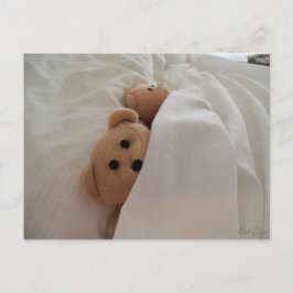 Cartão Postal Ursos de Teddy Dormindo atrasado com Foto da Placa