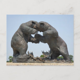 Cartão Postal Ursos - Dundee, Michigan