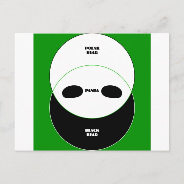 Cartão Postal Ursos gráficos (Frente)