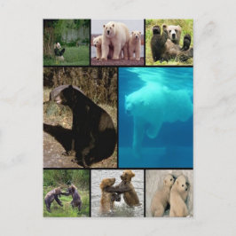 Cartão Postal Ursos Reproduzíveis