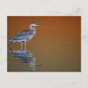 Cartão Postal USA, Florida, St. Petersburg, Fort De Soto 2