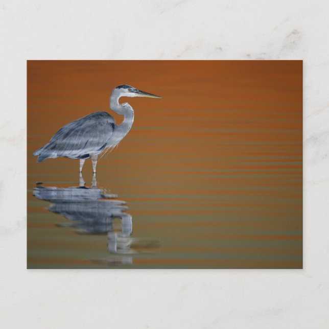 Cartão Postal USA, Florida, St. Petersburg, Fort De Soto 2 (Frente)