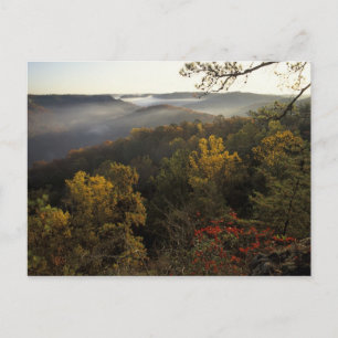 Cartão Postal USA, Kentucky. Daniel Boone National Forest.