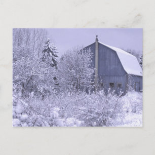 Cartão Postal USA, Michigan, Rochester Hills. Snowy blue