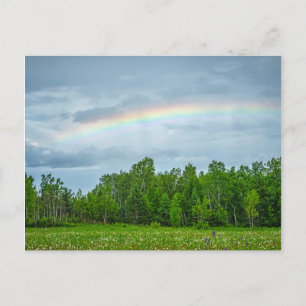 Cartão Postal USA, Minnesota. Green meadow with wildflowers