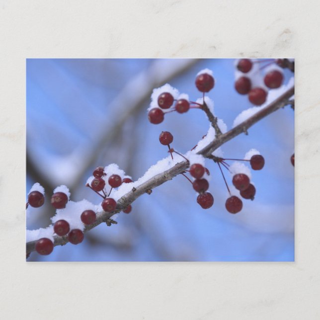 Cartão Postal USA, New England, Massachusetts, Reading, 3 (Frente)