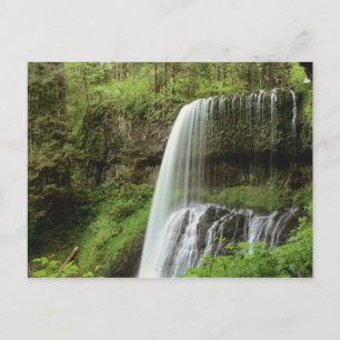 Cartão Postal USA, Oregon, Silver Falls State Park. Lower