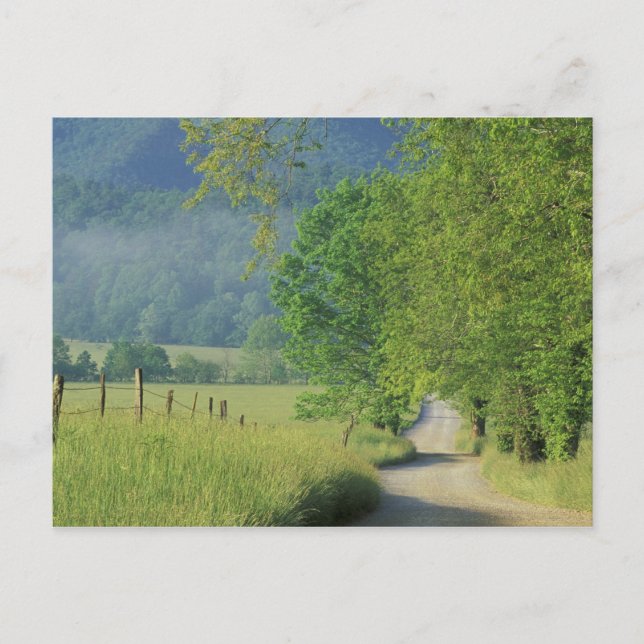 Cartão Postal USA, Tennessee, Great Smoky Mountains NP, (Frente)
