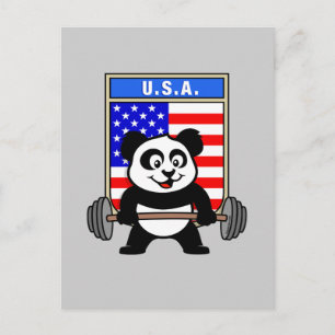Cartão Postal USA Weighting Panda