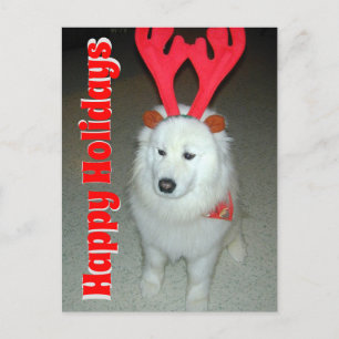 Cartão Postal Usar o Natal da Foto Pet