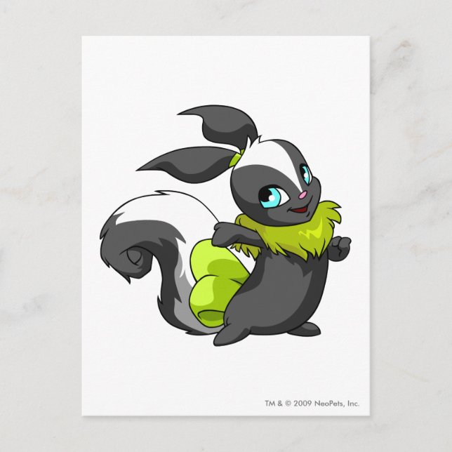 Cartão Postal Usul Skunk (Frente)