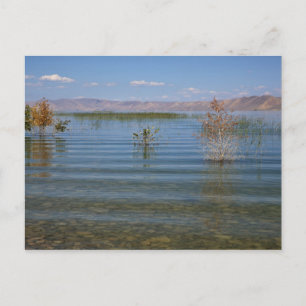 Cartão Postal UT, Bear Lake