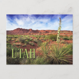 Cartão Postal Utah Desert Yucca