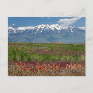 Cartão Postal Utah, EUA. Monte Timpanogos se Eleva Acima