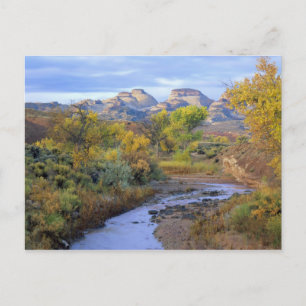 Cartão Postal UTAH. EUA. Pleasant Creek no outono ao nascer do s