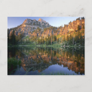 Cartão Postal UTAH. USA. Mt. Magog reflected in White Pine