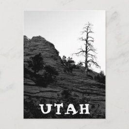 Cartão Postal UTAH Zion National Park Lone Tree Black White