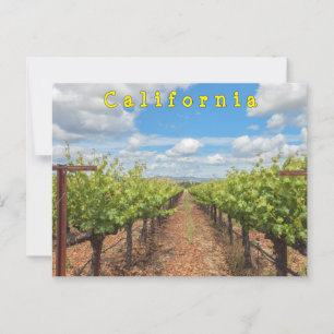 Cartão Postal Uvas