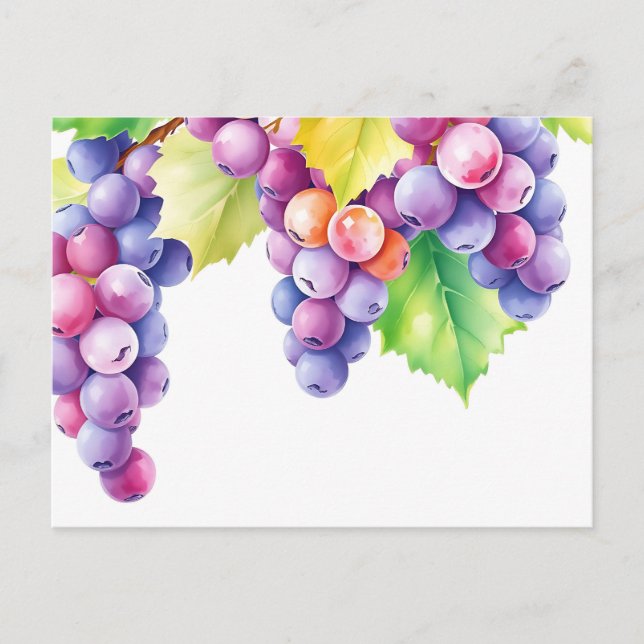 Cartão Postal Uvas aquarela em fundo branco limpo (Frente)