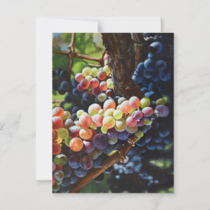 Cartão Postal Uvas de abundância para amantes e vinhas de vinho