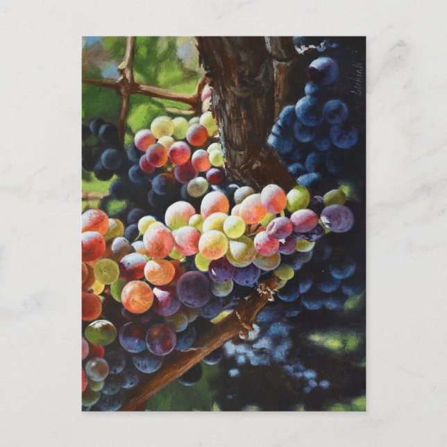 Cartão Postal Uvas de abundância para amantes e vinhas de vinho (Frente)
