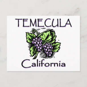 Cartão Postal Uvas de Temecula