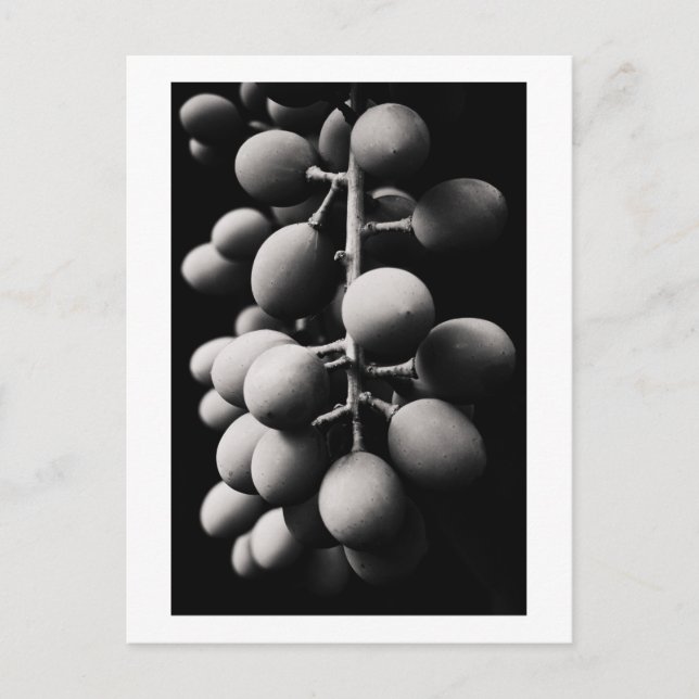 Cartão Postal uvas para um dia azedo (Frente)