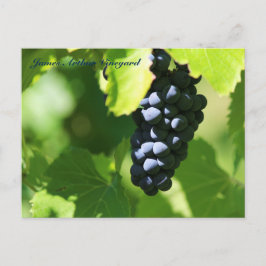 Cartão Postal Uvas roxas do St. Croix de JAV 2014 100n