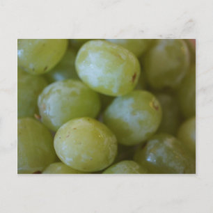 Cartão Postal Uvas Verdes