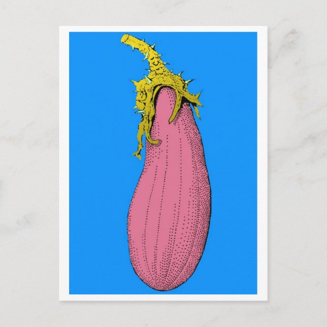 Cartão Postal v (Frente)