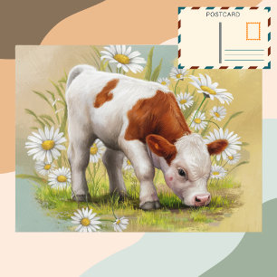 Cartão Postal Vaca Bela em um campo das Flores do Daisies