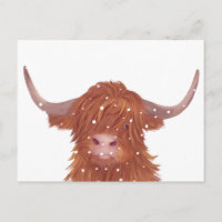 Vaca das Terras Altas Escocesas no Inverno