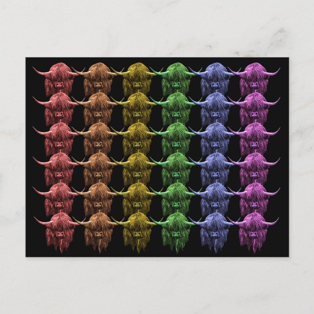 Cartão Postal Vaca de Highland escocesa (Frente)